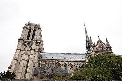 AR版《怪物猎人Now》先行注册玩家突破200万 奖励特典解锁